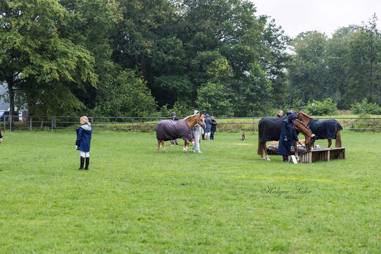 Bild 4 - Pony Akademie Turnier